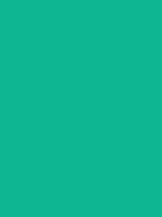 #0eb691 color image