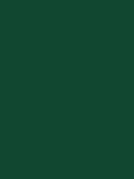 #114631 color image