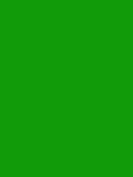 #119b09 color image