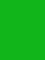 #11b51a color image