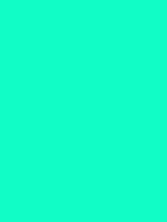 #11fdc6 color image