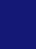 #141876 color image