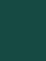 #164a43 color image