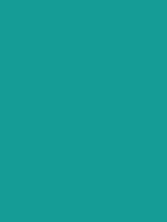 #169b96 color image