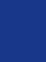 #18378a color image