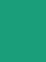 #1a9e7a color image