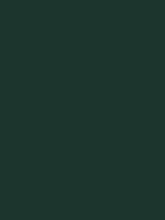 Medium jungle green / #1c352d hex color