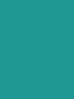 #1e9793 color image