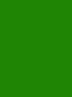 #1f8504 color image