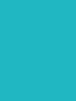 #20b7c2 color image