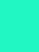 #21f7c3 color image