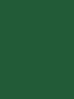 #225b37 color image