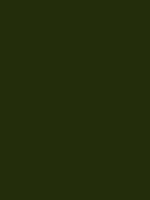 #232c0d color image