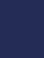#242c56 color image