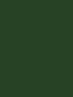 #274225 color image