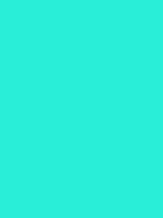 #29eed8 color image