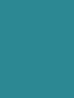 #2a8793 color image