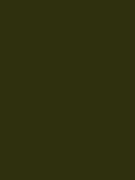 #2b2f0a color image