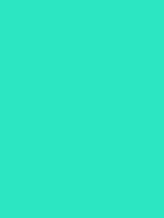 #2ce6c2 color image