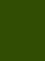 #314d03 color image