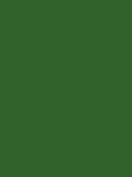 #31622b color image
