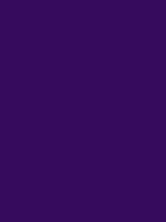 #360b5e color image