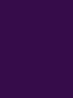 #360c4a color image