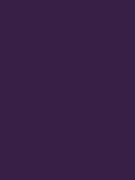 #371f46 color image