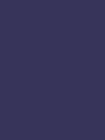 #37345a color image