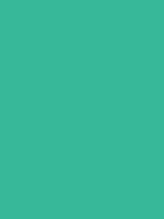 #37b899 color image