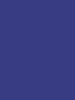 #383d83 color image