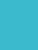 #3abacc color image