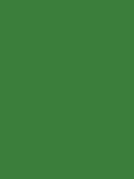 #3b7d3a color image