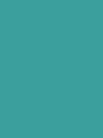 #3b9f9e color image