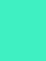 #3df0c2 color image