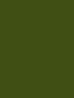#404f14 color image