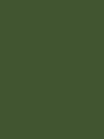 #405530 color image