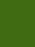 #406b12 color image