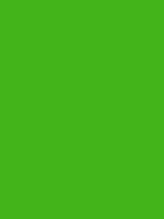 #43b51a color image