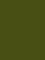#484f14 color image