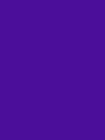 #4b0e9a color image