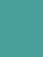 #4b9f9a color image