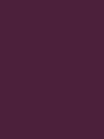 #4c203b color image