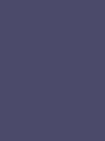 #4c4a6a color image