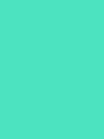 #4ce3c1 color image