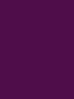 #4f0d4a color image