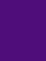 #4f0d7a color image