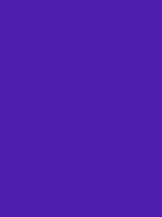 #501eae color image