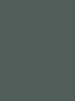 #515d59 color image