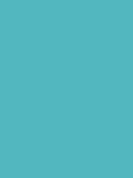 #51b7c1 color image